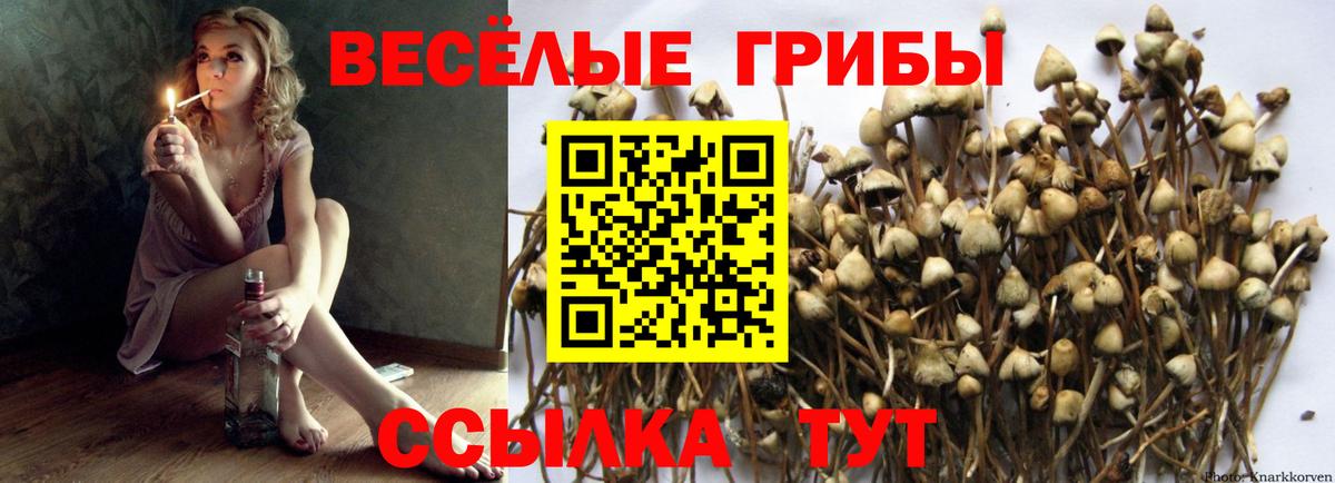Псилоцибиновые грибы Psilocybe  Галлюциногенные грибы Psilocybine cubensis  Трёхгорный  Вход с VPN 